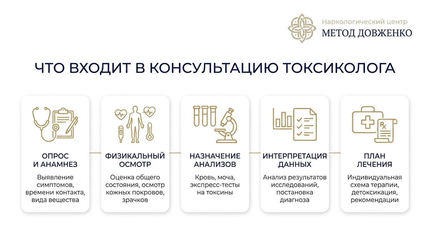 Инфографика с пятью этапами консультации токсиколога: анамнез, осмотр, назначение анализов, интерпретация данных, план лечения.